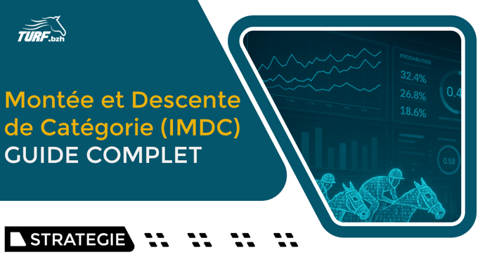 IMDC : guide complet pour comprendre la catégorie du cheval