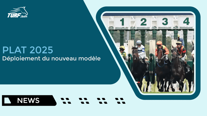 Pronostics IA pour le Plat : une nouvelle étape pour Turf.bzh