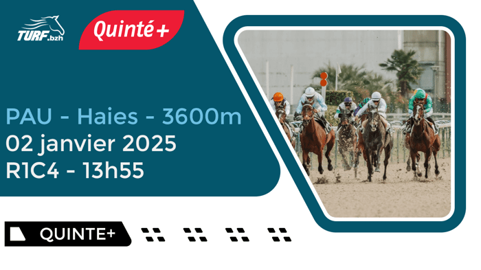 Quinté Pau : Analyse et Pronostics du 2 Janvier 2025