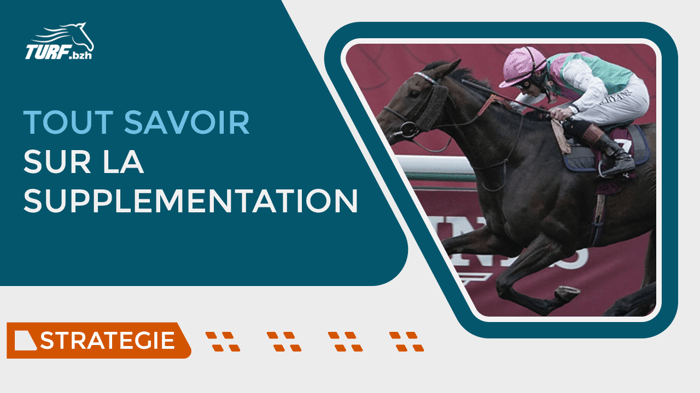 Cheval supplémenté : comment en tirer profit ?