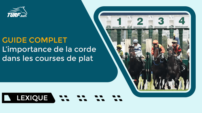 Numéros de Corde en Plat : Guide Complet