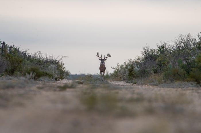 Outdoor Associations