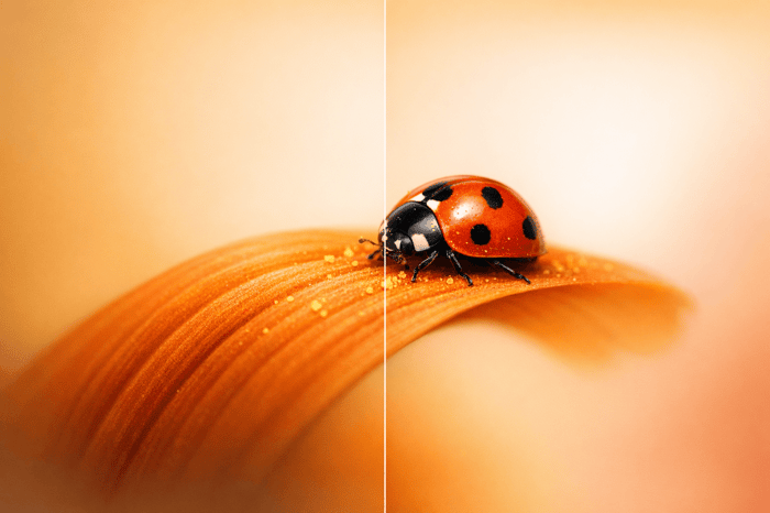 Lightroom: Texture Tools And Macro Use Cases