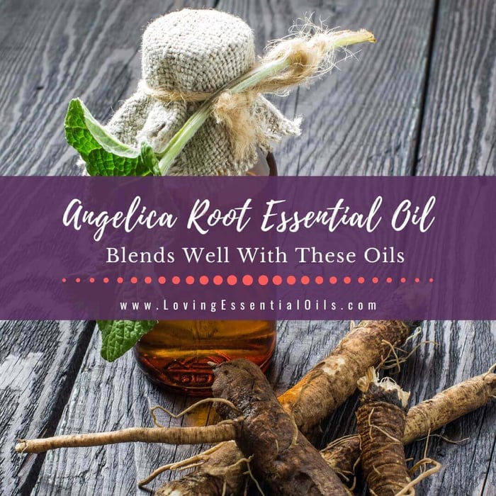 Angelica Root Blends Well With These Oils + Diffuser Blends