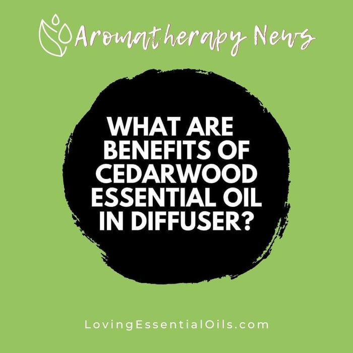 What are the Benefits of Cedarwood Essential Oil in Diffuser?