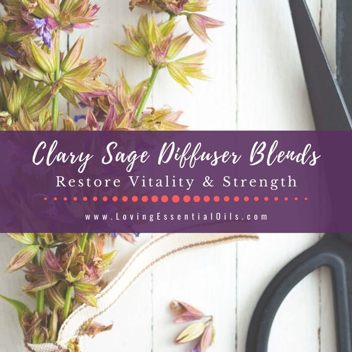 10 Clary Sage Diffuser Blends - DIY Essential Oil Recipes