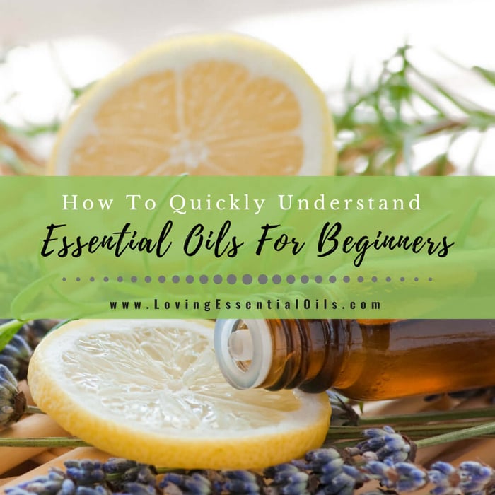 How to Quickly Understand Essential Oils For Beginners