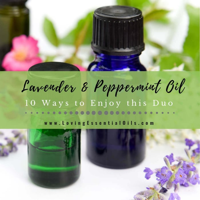 Lavender and Peppermint Oil - 10 Ways to Enjoy this Powerful Duo