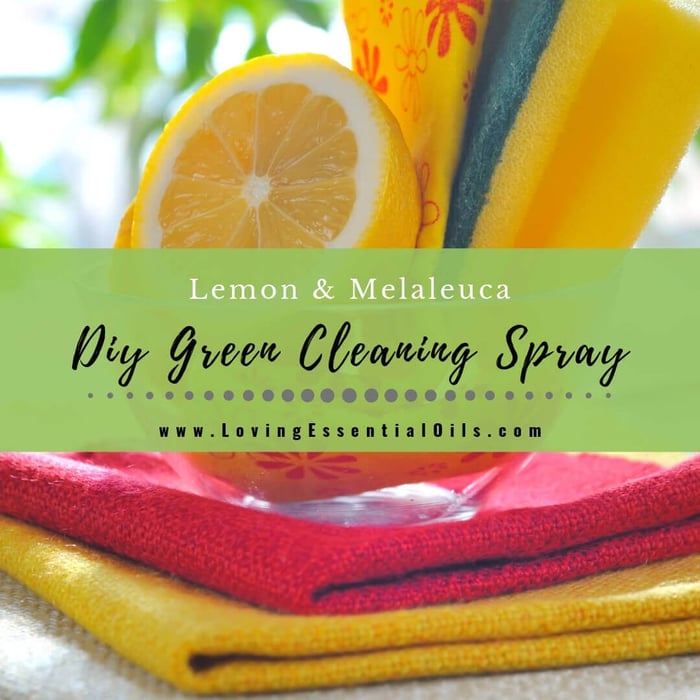 DIY Lemon Melaleuca Essential Oil Cleaning Spray Recipe