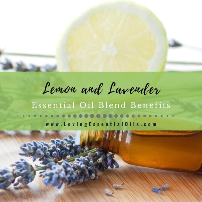 11 Lemon and Lavender Essential Oil Blend Benefits & Recipes