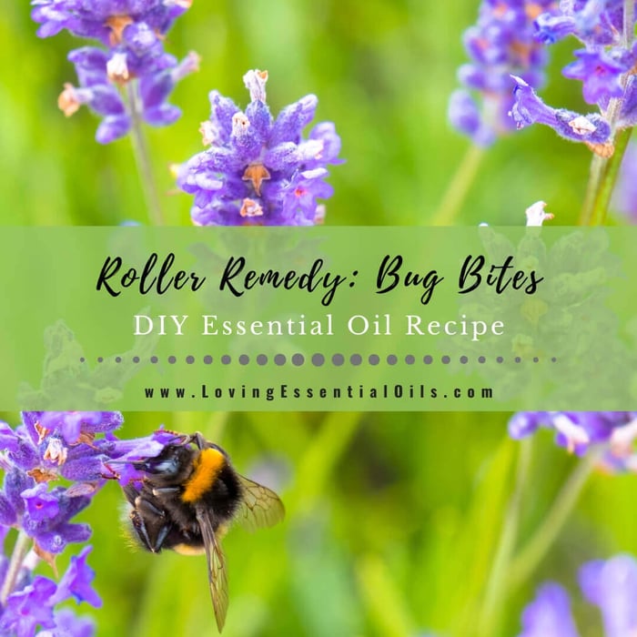 Essential Oil Recipe for Bug Bites: How to Make Itch Remedy