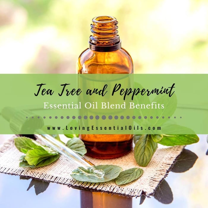 Tea Tree and Peppermint Essential Oil Blend Benefits