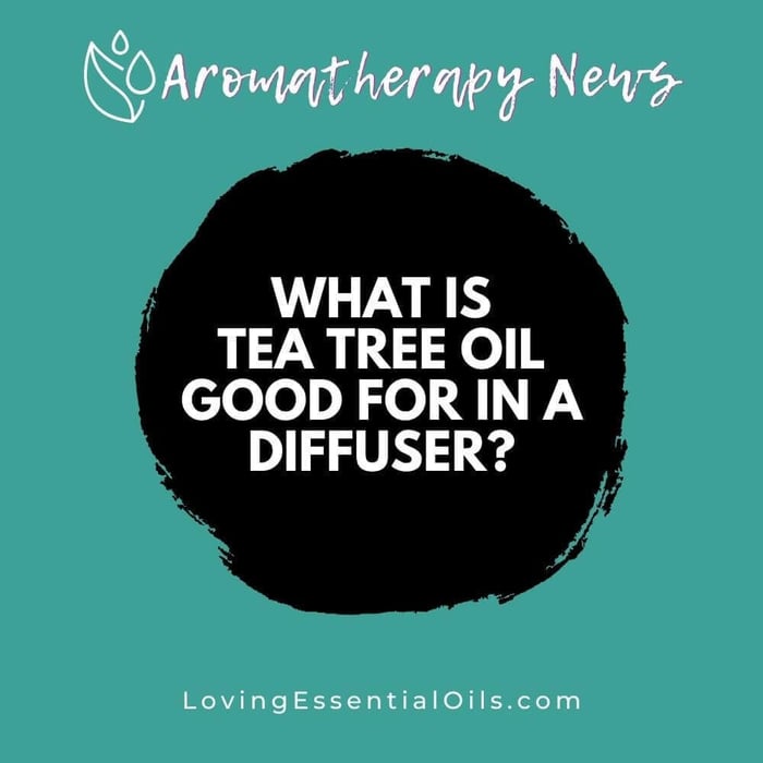 What is Tea Tree Essential Oil Good for in a Diffuser?