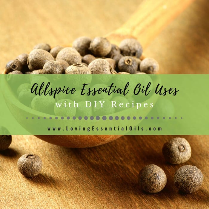 Allspice Essential Oil Recipes and Uses - EO Spotlight
