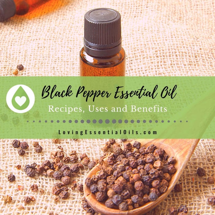 Black Pepper Essential Oil Recipes, Uses and Benefits