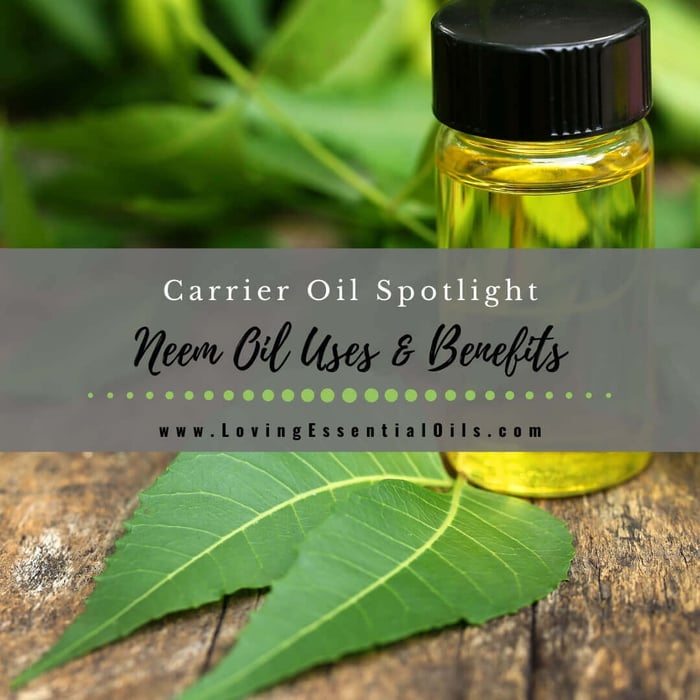 How to Use Neem Oil for Skin - Carrier Oil Spotlight