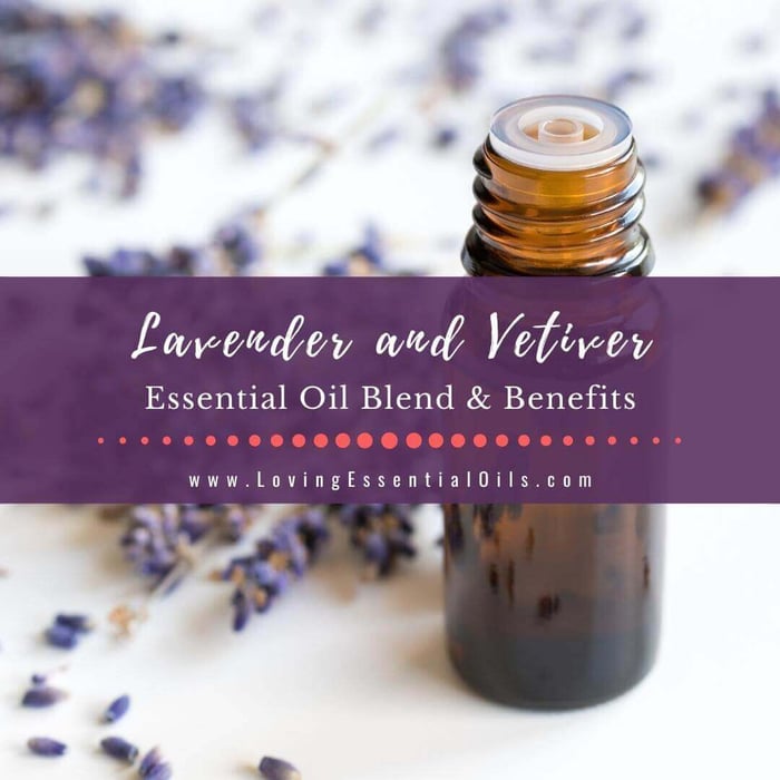 Lavender and Vetiver Essential Oil Blend Benefits Recipes