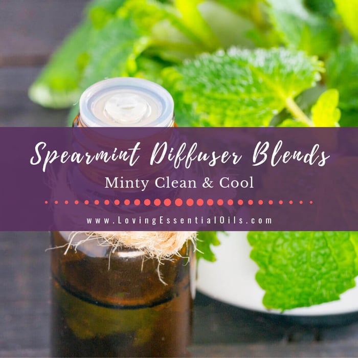 Spearmint Diffuser Blends - 10 Minty Clean Essential Oil Recipes