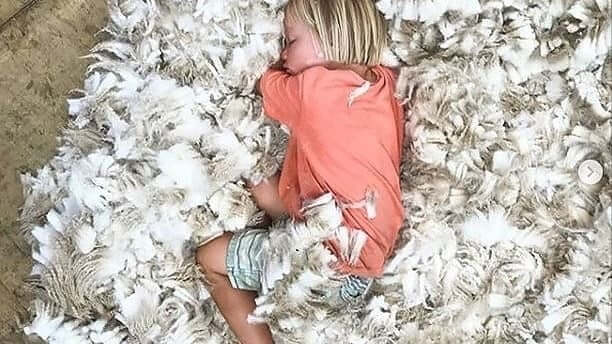 What Is Regenerative Wool? The Complete Guide (2026)