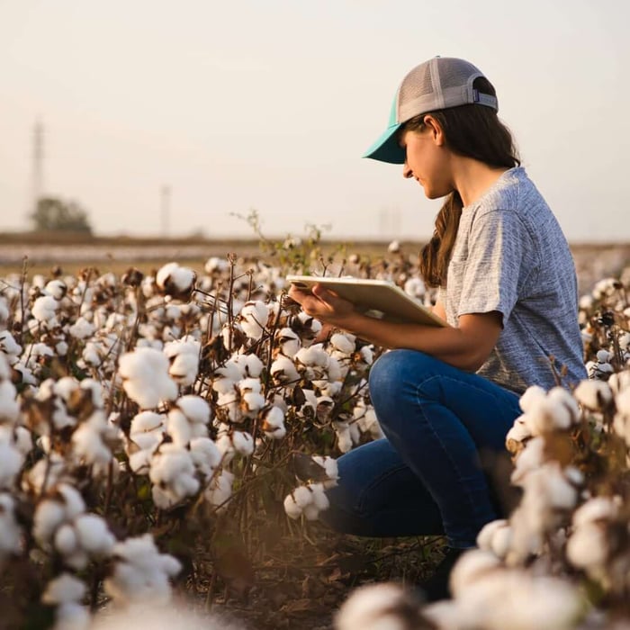 What Is Organic Cotton Bedding — and Why Regenerative Cotton Is Better