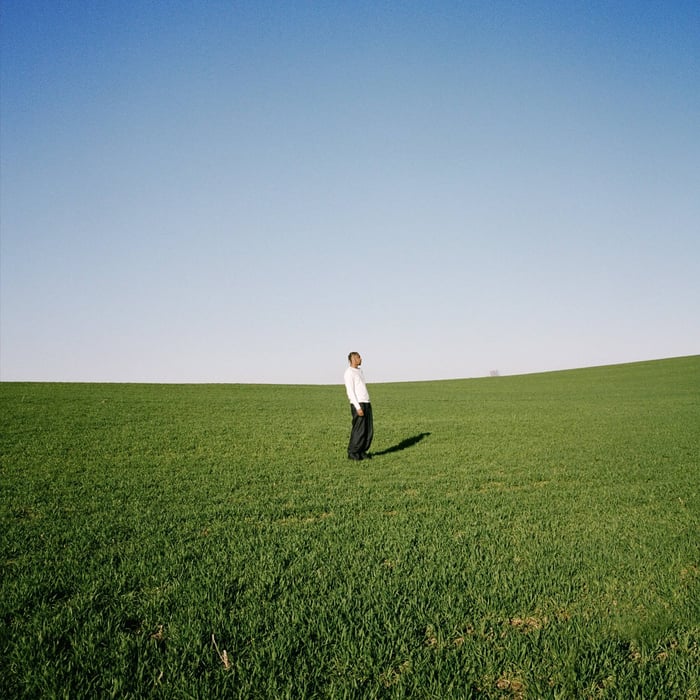 PINE Album Review: James Savage’s “PINE” and the Art of Not Deciding
