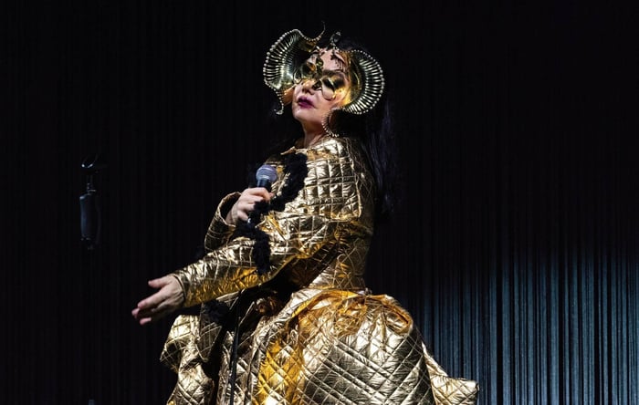Björk Joins No Music For Genocide Campaign, Pulls Music from Streaming in Israel