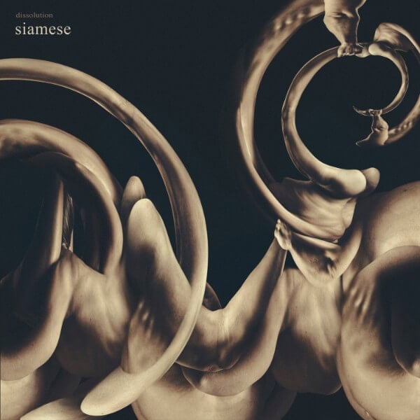 Siamese Dissolution Review: Pop Hooks Pick a Fight With Metalcore