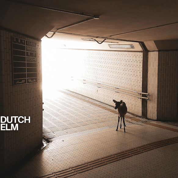 Dutch Elm album: the math-rock flex that refuses to sit still