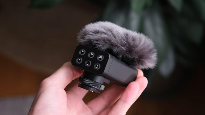 Panasonic Lumix DMW-DMS1 Review – A Brilliant Yet Limited Microphone Solution