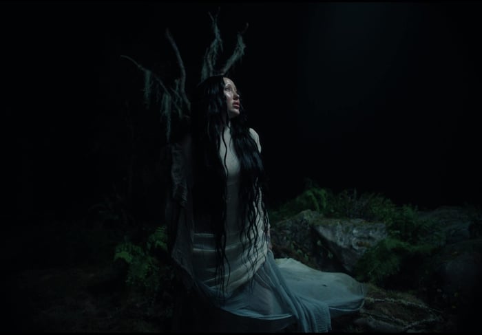 Noah Cyrus Teams Up With Blake Shelton and Bill Callahan on New Album