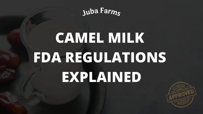 Camel Milk FDA Regulations Explained