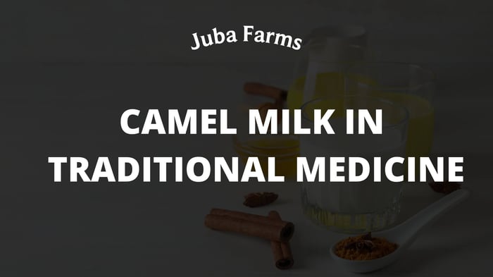 Camel Milk in Traditional Medicine