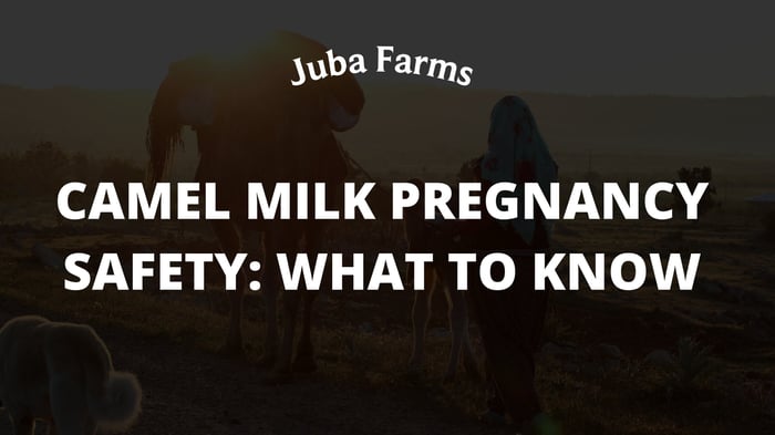Camel Milk Pregnancy Safety: What to Know