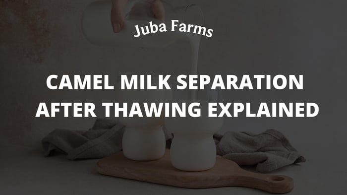 Camel Milk Separation After Thawing Explained