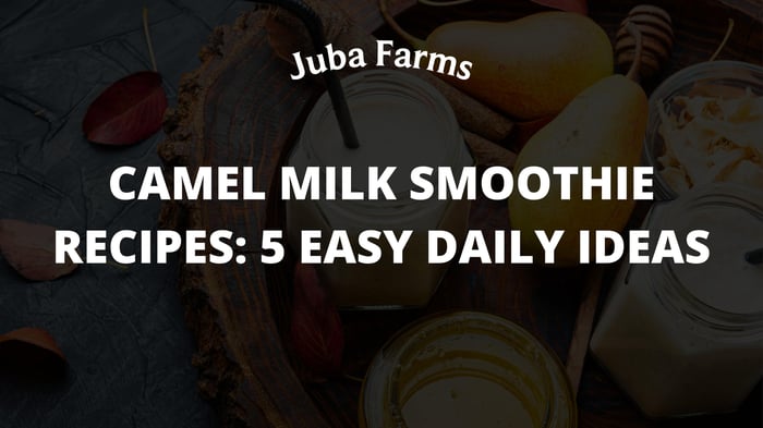 Camel Milk Smoothie Recipes: 5 Easy Daily Ideas