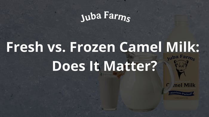Fresh vs. Frozen Camel Milk: Does It Matter?
