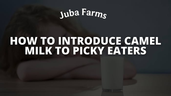 How to Introduce Camel Milk to Picky Eaters