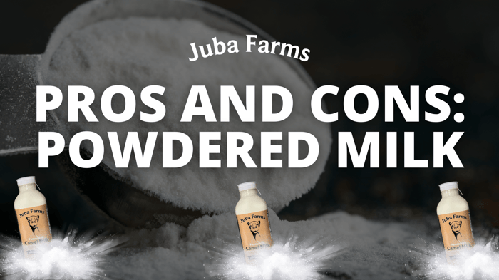 Pros and Cons: Powdered Camel milk