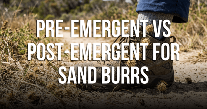 Pre-Emergent vs Post-Emergent for Sand Burrs