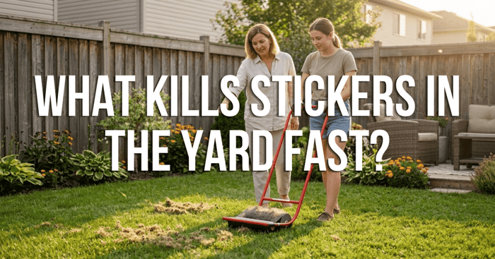 What Kills Stickers in the Yard Fast? 7 Proven Methods