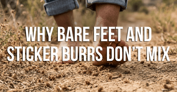 Why Bare Feet and Sticker Burrs Don’t Mix