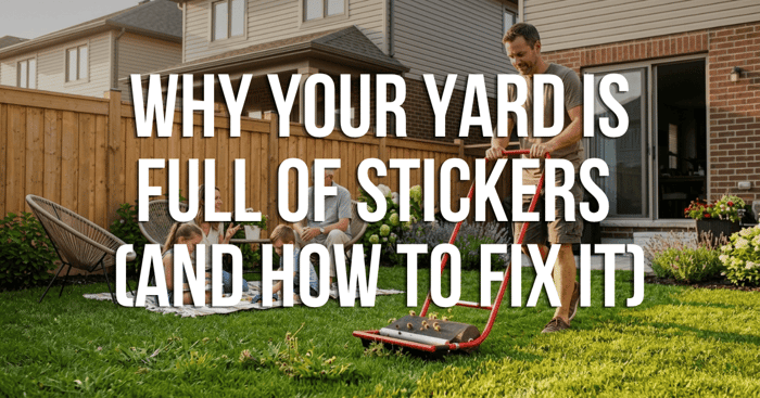 Why Your Yard Is Full of Stickers (And How to Fix It)