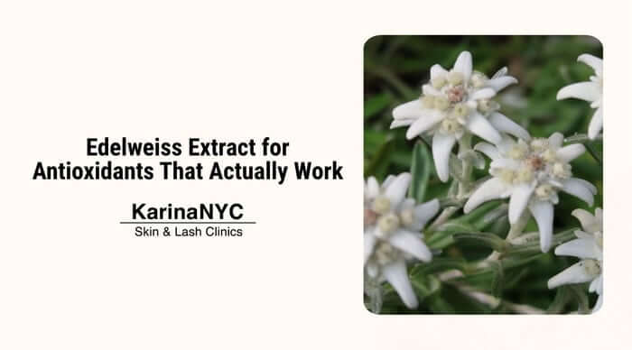 Edelweiss Extract for Antioxidants That Actually Work