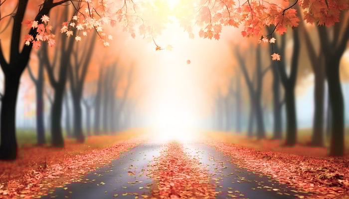 Giving Up a Safe Timeline for a Chance at the Ideal Timeline