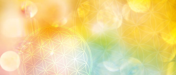 What Is the Flower of Life?