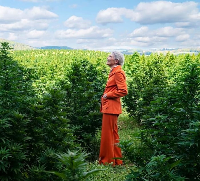 Aging Well with CBD & THC