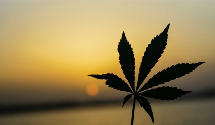 A Major Win for Hemp: The White House Calls for a Real Regulatory Framework