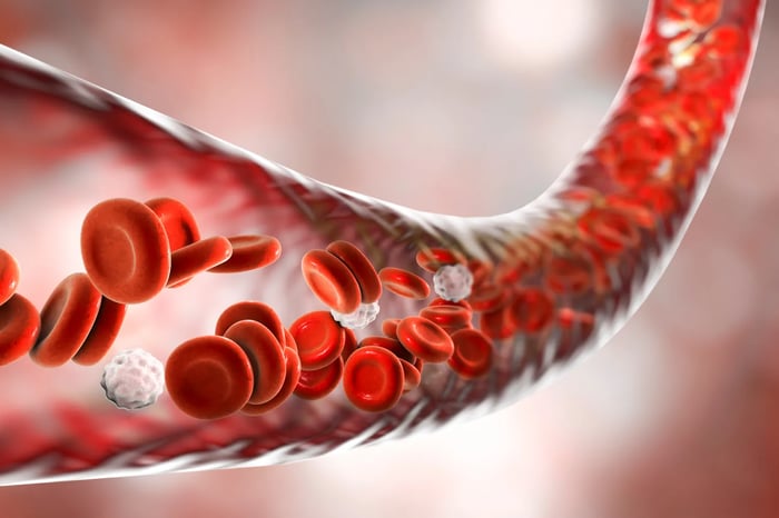 Fibrinolytic Enzymes: Types, Benefits, and How They Work