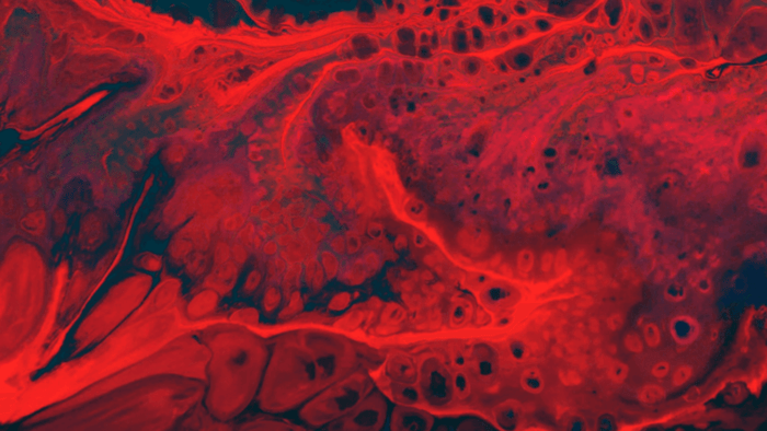 Lumbrokinase vs Nattokinase
