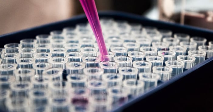 Nattokinase and Blood Thinners: What You Need to Know - featured image